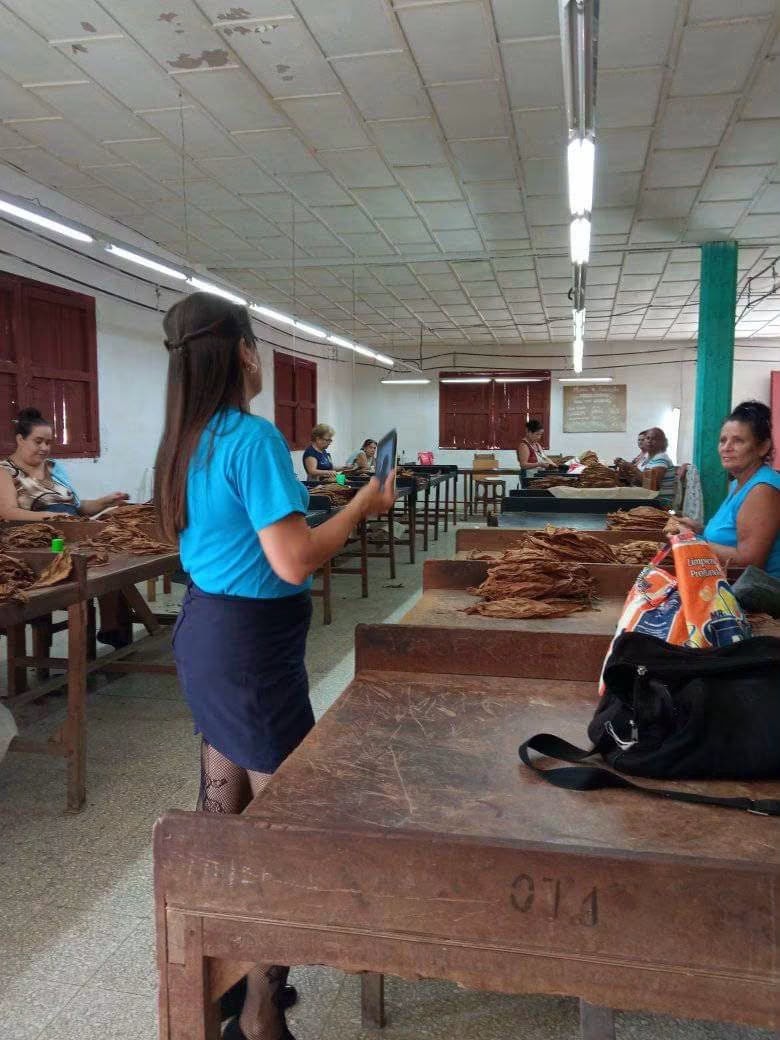 España bloquea las cuentas de Tabacalera y deja en el aire al socio privado de Habanos S.A.